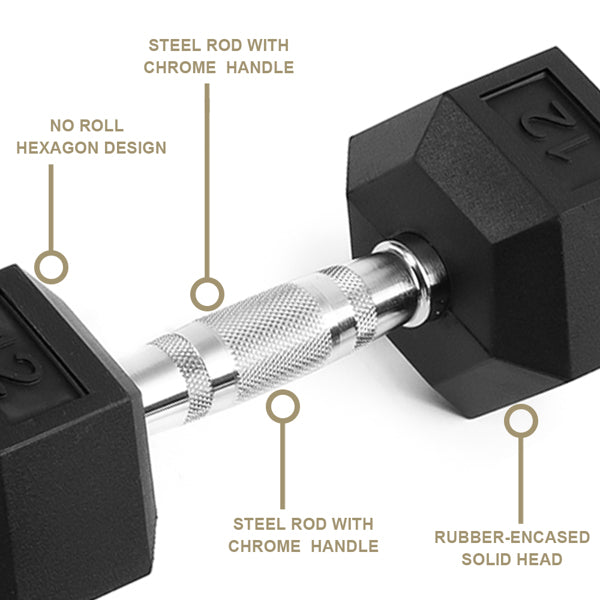 20 LB Rubber Coated Cast Iron Dumbbells - Pair of Hex Dumbbells for Home Gym