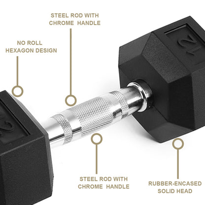 20 LB Rubber Coated Cast Iron Dumbbells - Pair of Hex Dumbbells for Home Gym