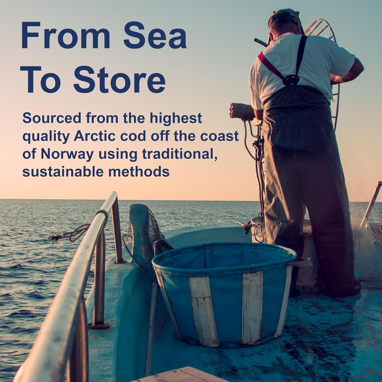 - the Very Finest Fish Oil, 1600 Mg Omega-3S, Liquid Fish Oil Supplement, Norwegian Fish Oil, Wild-Caught, Sustainably Sourced Fish Oil Liquid, Lemon, 200Ml, 6.7 Fl Oz