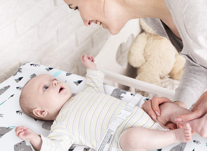 Stretchy Changing Pad Covers  Changing Table Cover for Baby Boys Girls,2 Pack Jersey Knit,Owl & Bear